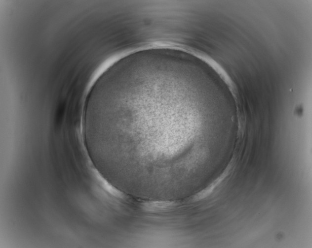 X0000100951294200807081209