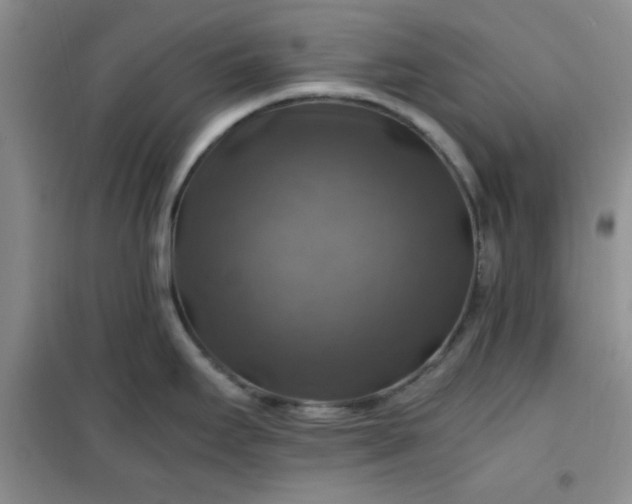 X0000100951295200807081209