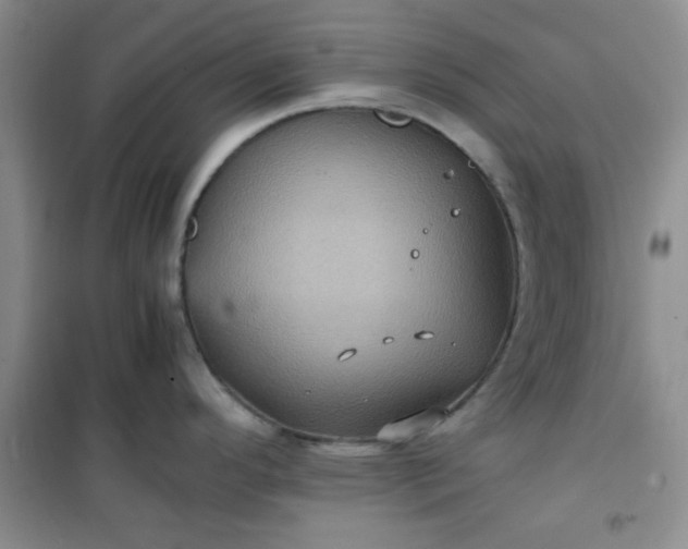 X0000100951296200807081209