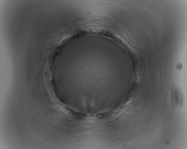 X0000100951297200807081208