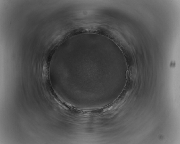 X0000100951298200807081208