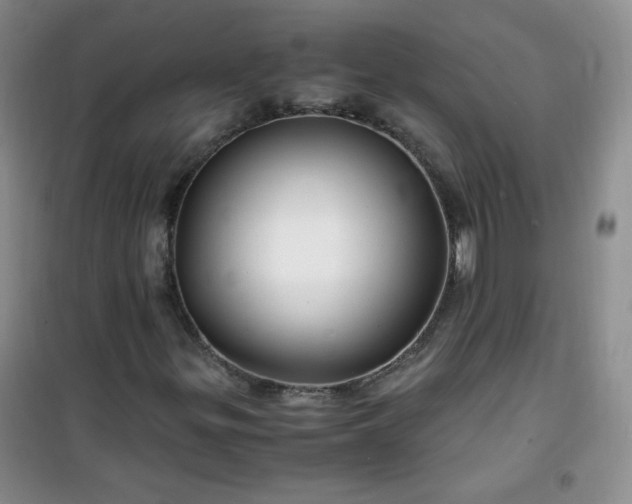 X0000100951299200807081208