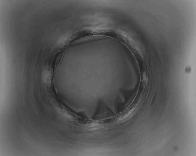 X0000100951300200807081208