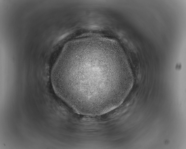 X0000100951301200807081208