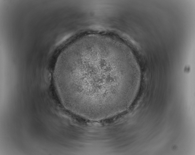 X0000100951302200807081209