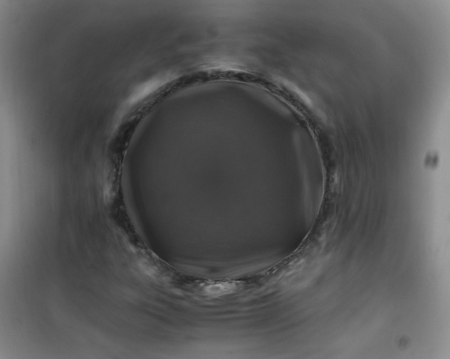 X0000100951303200807081209