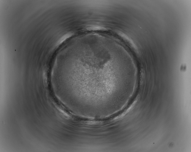 X0000100951305200807081209