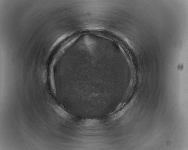 X0000100951306200807081209