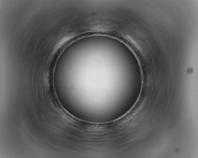 X0000100951307200807081209