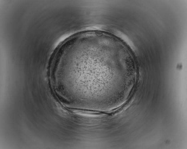 X0000100951308200807081209