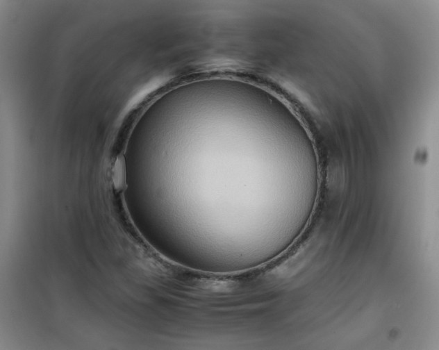 X0000100951309200807081209