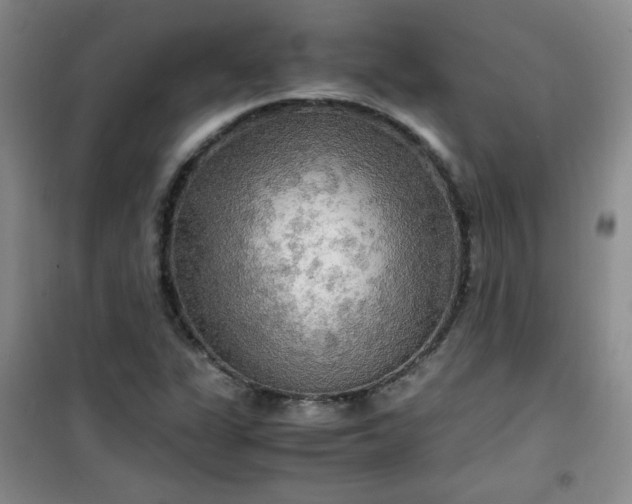 X0000100951311200807081209