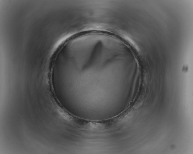 X0000100951312200807081209