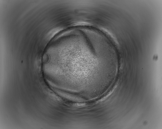 X0000100951313200807081209