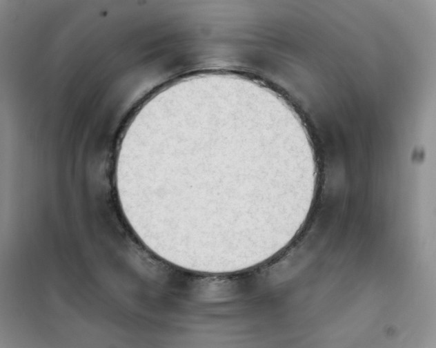 X0000100951314200807081209