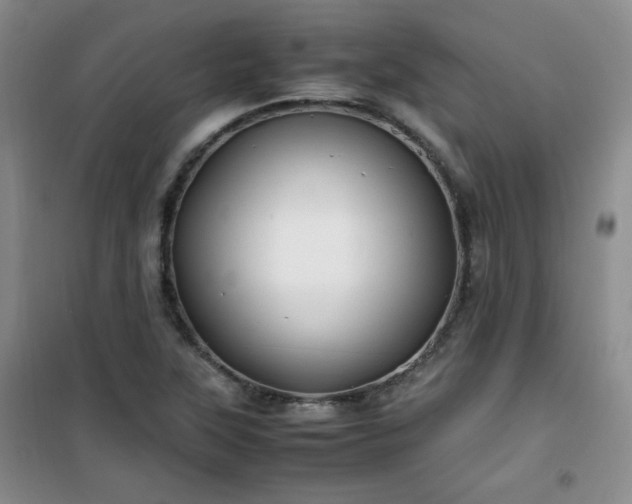 X0000100951315200807081209