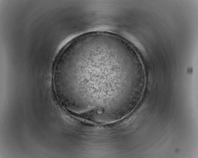 X0000100951316200807081209