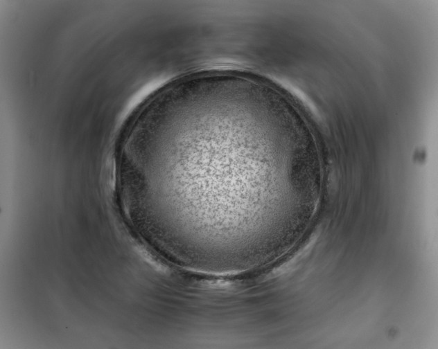 X0000100951317200807081209