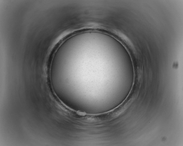 X0000100951318200807081209