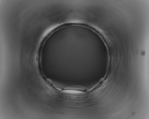 X0000100951319200807081209