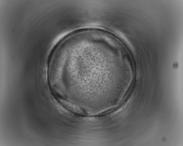 X0000100951320200807081209