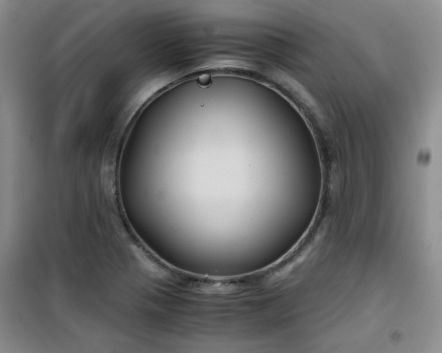 X0000100951321200807081209