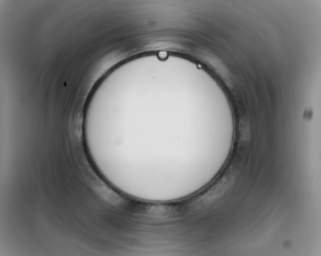 X0000100951322200807081209