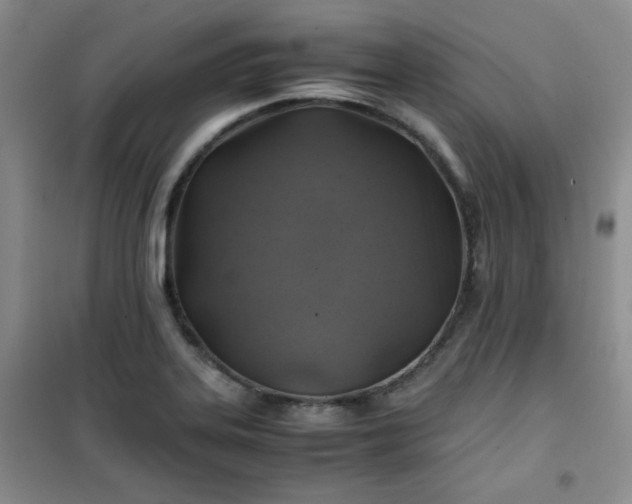 X0000100951323200807081209