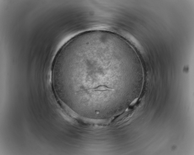 X0000100951324200807081209