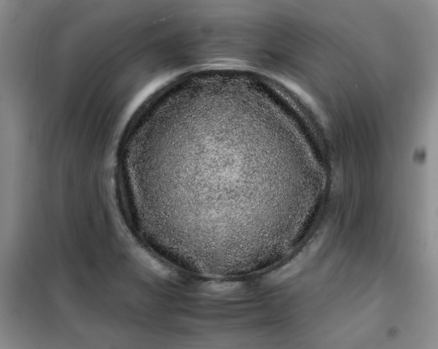 X0000100951325200807081209