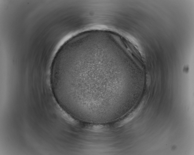 X0000100951326200807081209