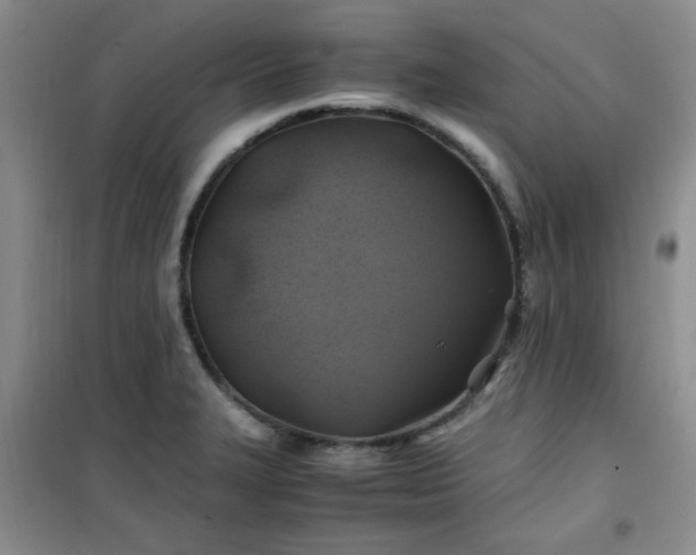 X0000100951327200807081209