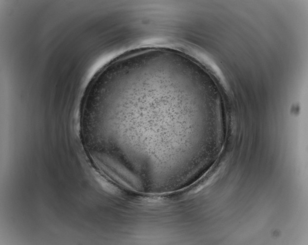 X0000100951328200807081209