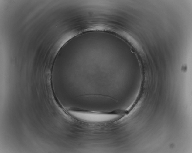 X0000100951329200807081209