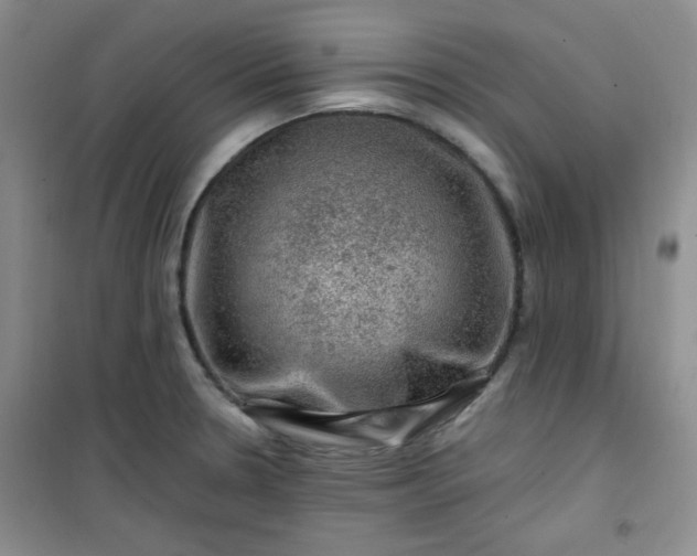 X0000100951330200807081209