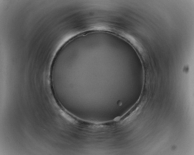 X0000100951331200807081209