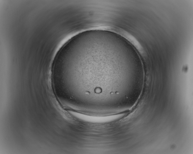 X0000100951332200807081209