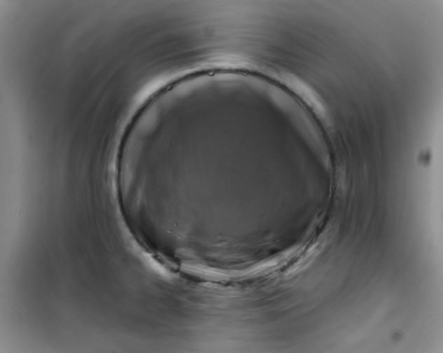 X0000100951334200807081209