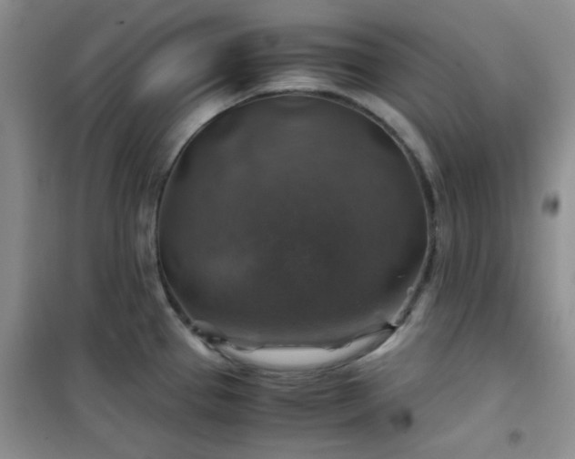 X0000100951337200807081209