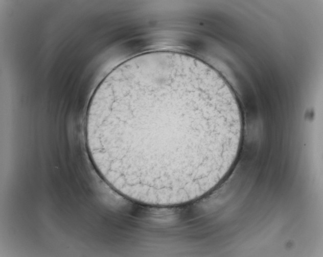 X0000100951338200807081209