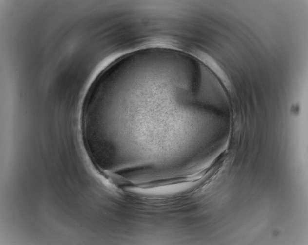 X0000100951339200807081209