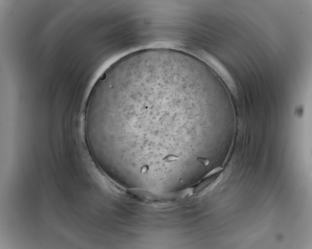 X0000100951340200807081209