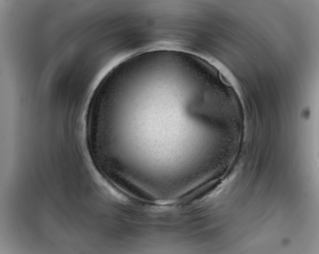 X0000100951341200807081209