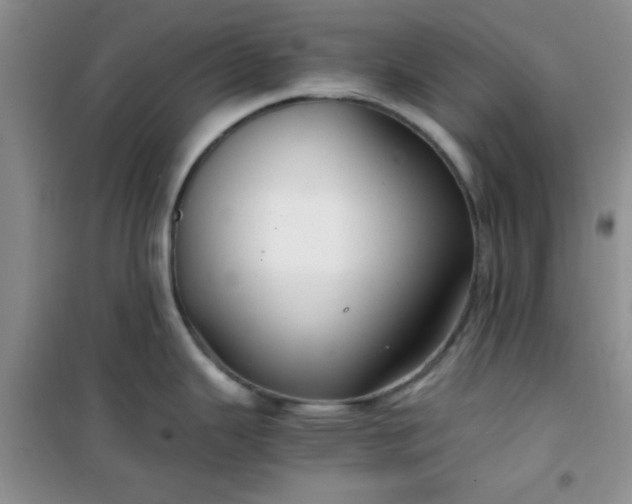 X0000100951343200807081209