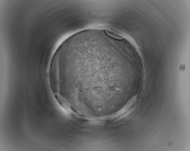 X0000100951344200807081209