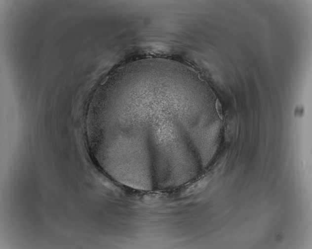 X0000100951345200807081208