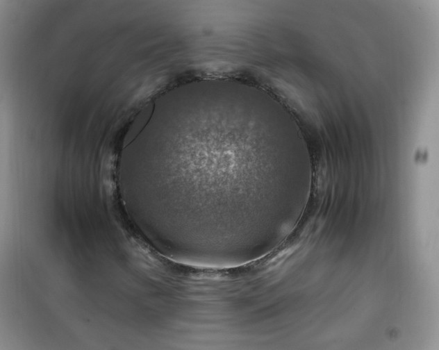 X0000100951346200807081208