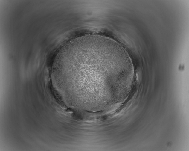 X0000100951347200807081208