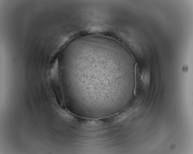 X0000100951348200807081208