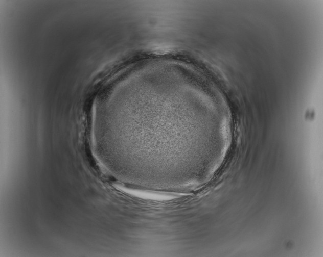 X0000100951349200807081208